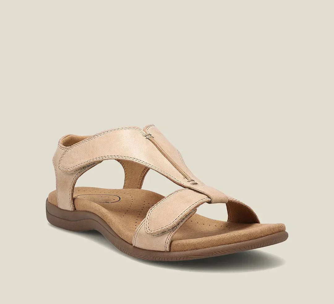 Beige / 12